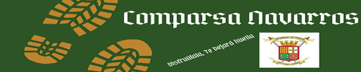 banner navarros